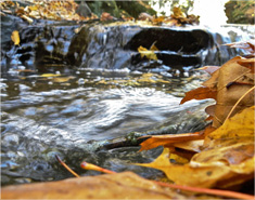 手机号呼叫轰炸app